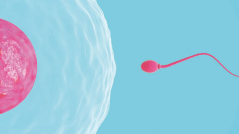 Η γονιμότητα μπορεί πλέον να είναι εφικτή και στους ογκολογικούς ασθενείς (www.lifo.gr)