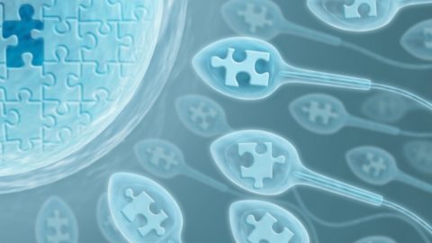 Εξωσωματική: Γιατί κάποια έμβρυα δεν εμφυτεύονται
